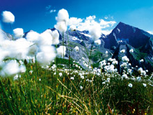 Tyrol - Parc Naturel du Zillertal en été